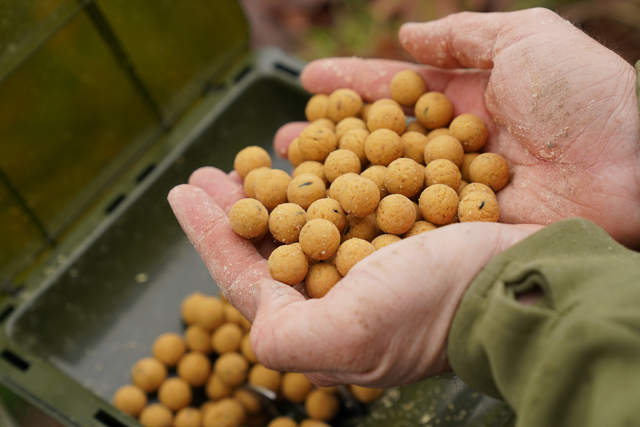 Best carp bait hotsell